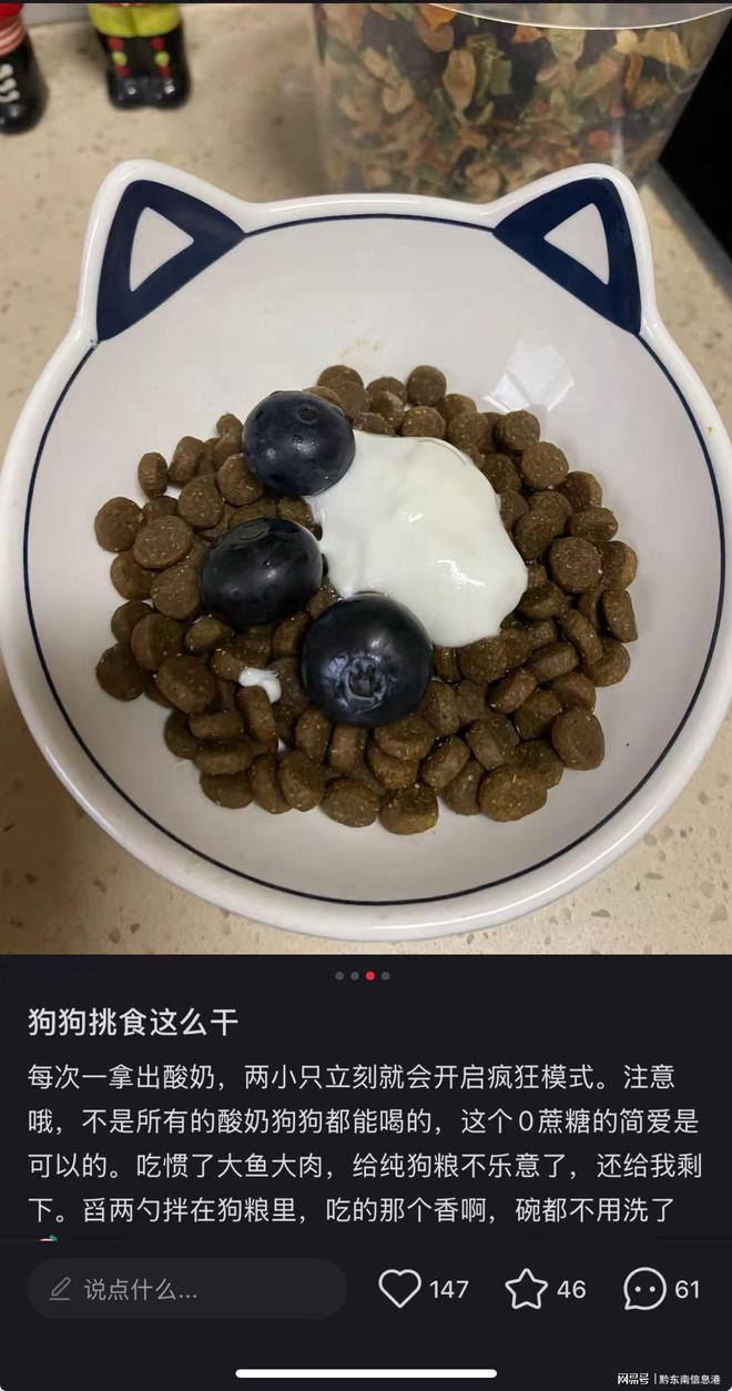 方”撬动萌宠经济与母婴信任双赛道mg不朽情缘简爱酸奶以“纯净配(图3)