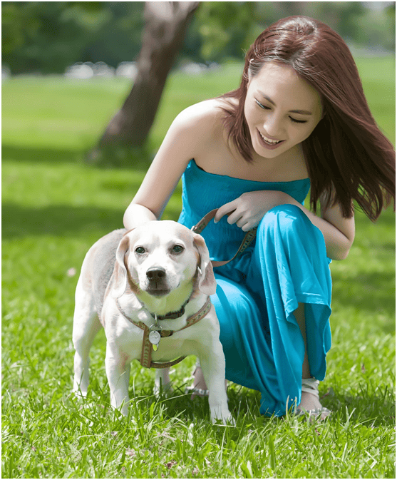 分析：现状、痛点、需求、趋势不朽情缘宠物食品行业产业链(图2)
