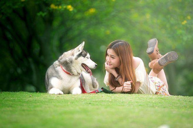 分析：现状、痛点、需求、趋势不朽情缘宠物食品行业产业链(图3)