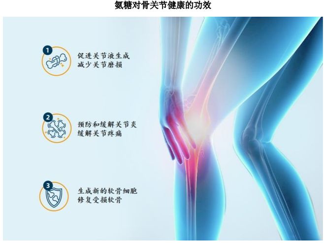 团：扎根运动健康赛道凭多元布局赢长远未来mg不朽情缘游戏试玩HMB全球龙头技源集(图3)