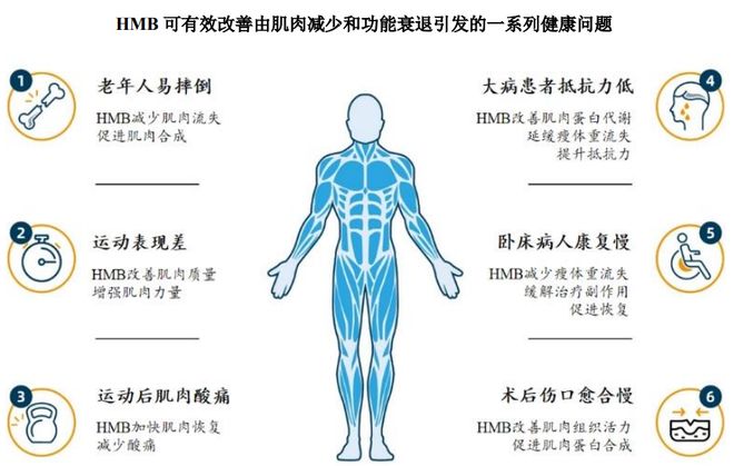 团：扎根运动健康赛道凭多元布局赢长远未来mg不朽情缘游戏试玩HMB全球龙头技源集(图7)